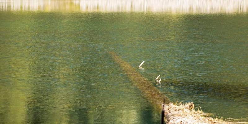 Camper submitted image from Lake In The Woods