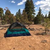 Review photo of Tom Best Spring Road FR117 Dispersed - Dixie National Forest by Alacyn C., April 2, 2021
