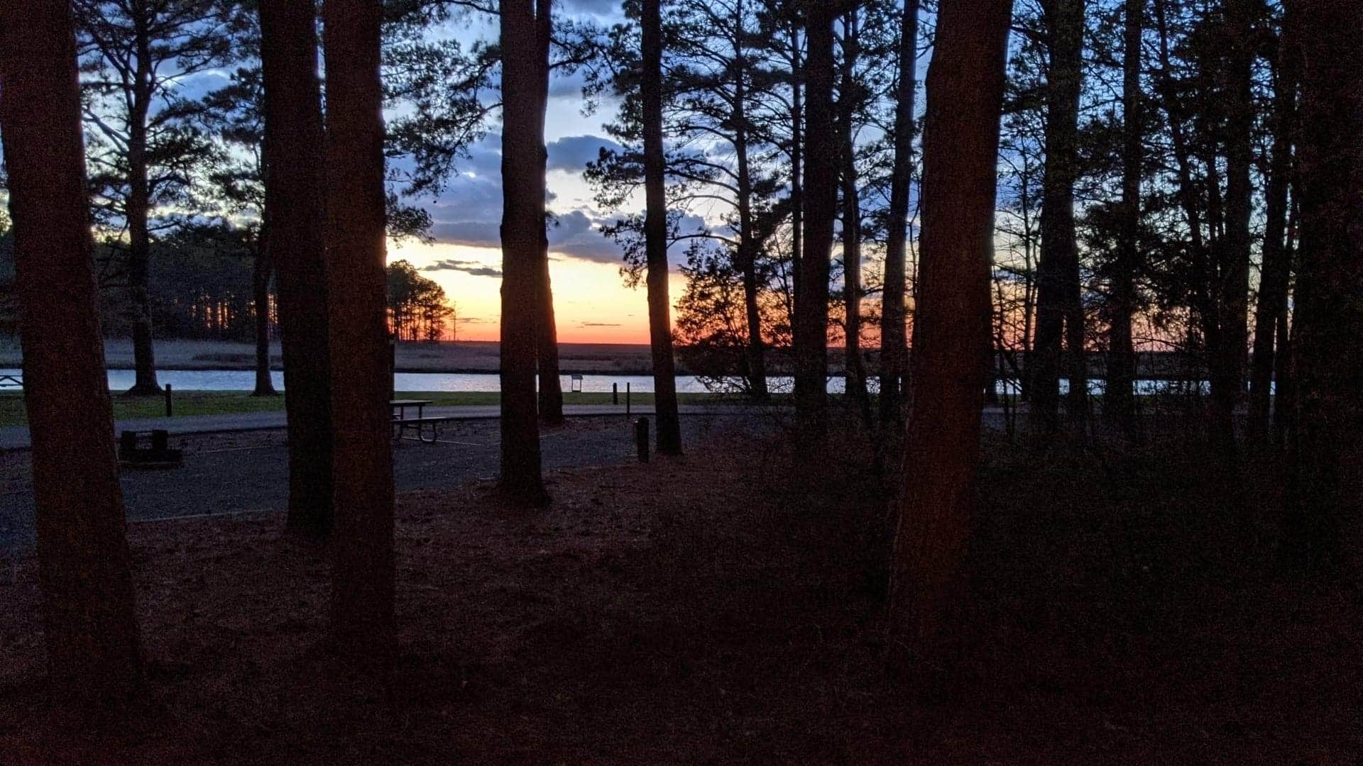 Camper submitted image from Janes Island State Park Campground - 1