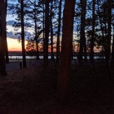 Review photo of Janes Island State Park by David S., April 3, 2021