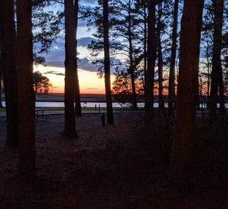 Camper-submitted photo from Janes Island State Park