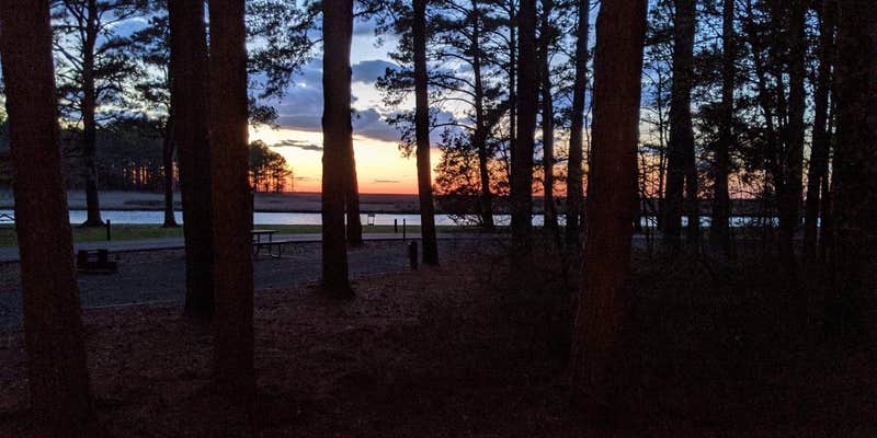 Camper submitted image from Janes Island State Park Campground