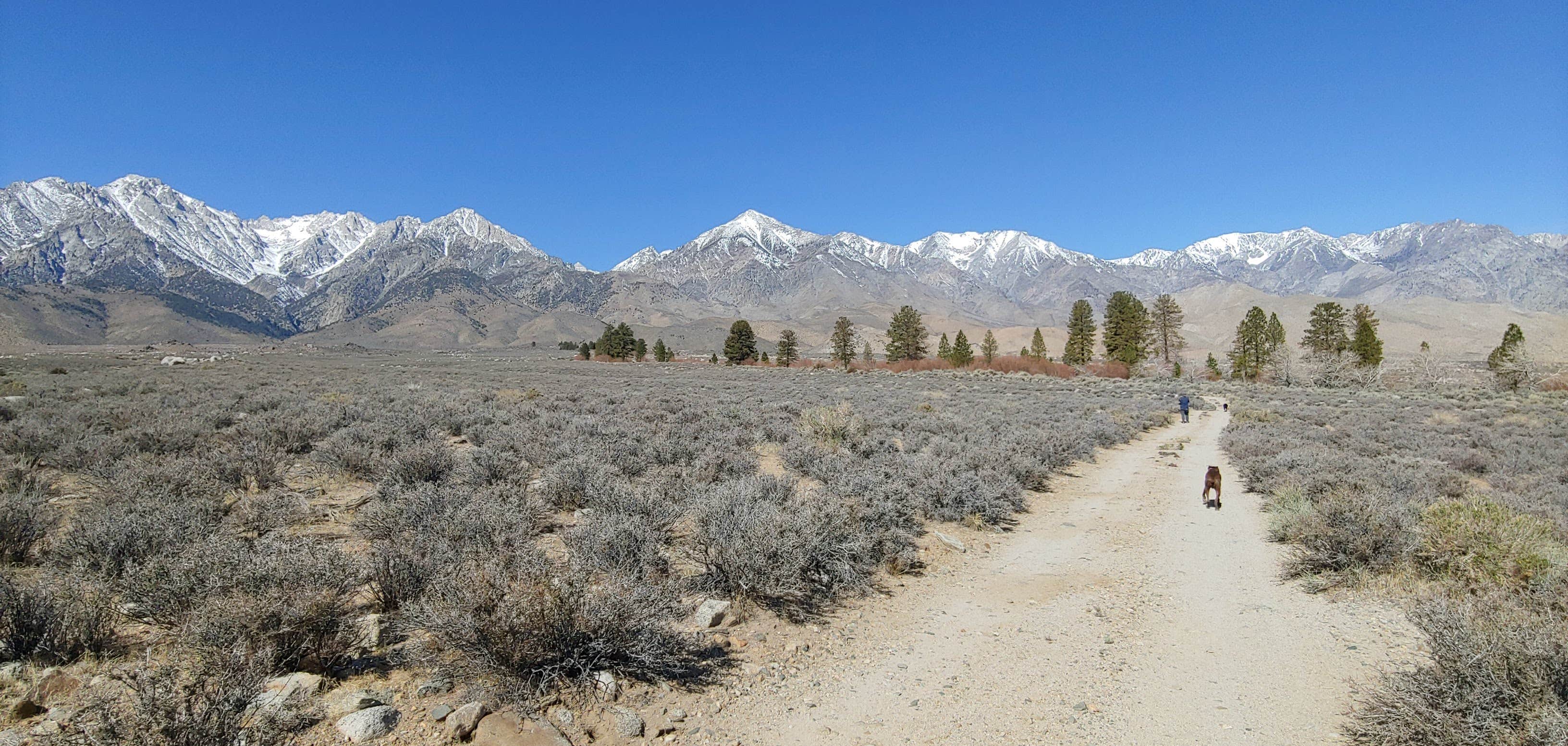 Camper submitted image from Independence BLM Dispersed - 5