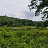Review photo of Lake Russell Recreation Area by Hiking Diva .., July 13, 2016