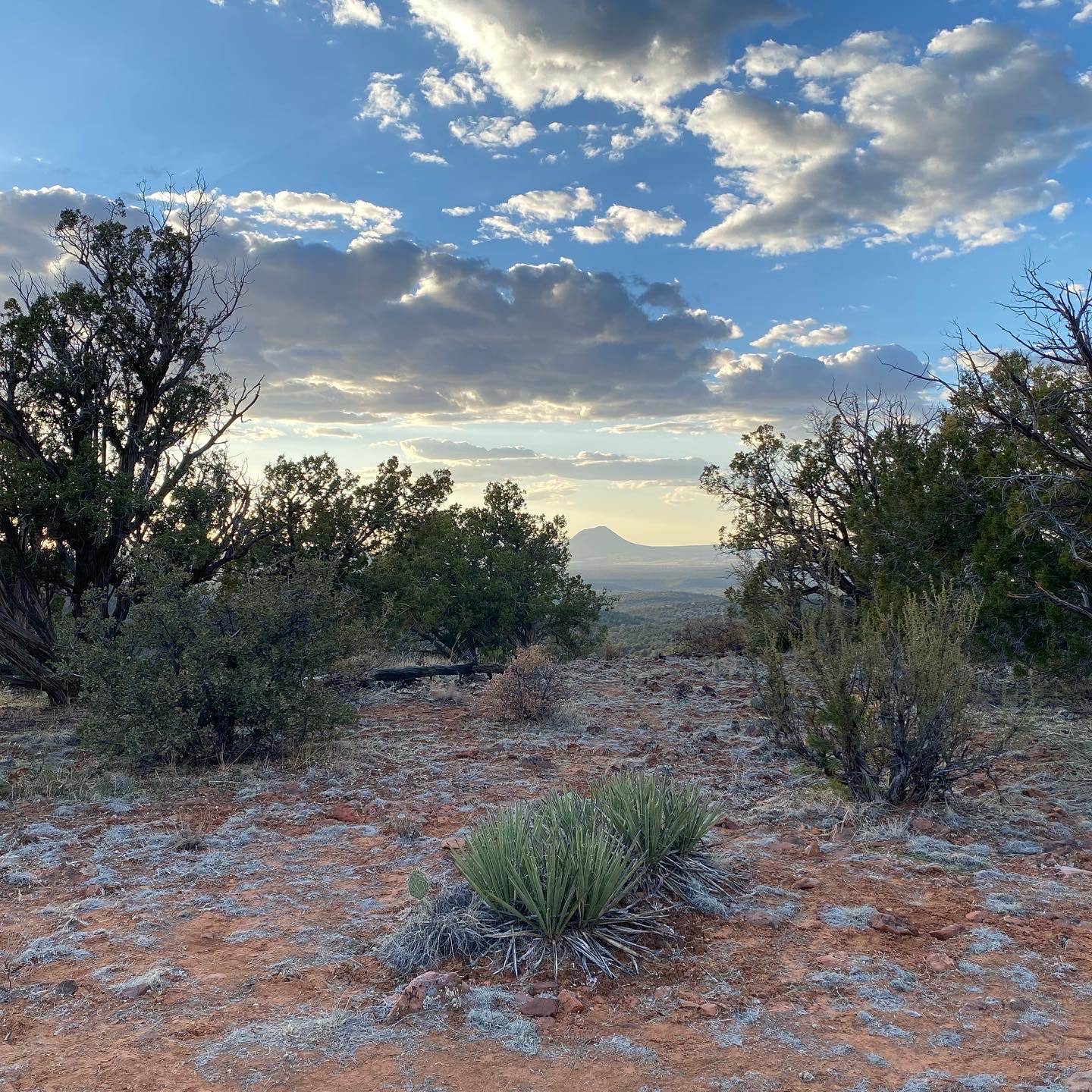 Haak'u Cuervo Canyon Overlook