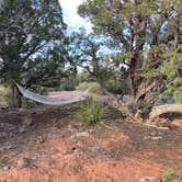 Review photo of Haak'u Cuervo Canyon Overlook by Jamie C., April 3, 2021