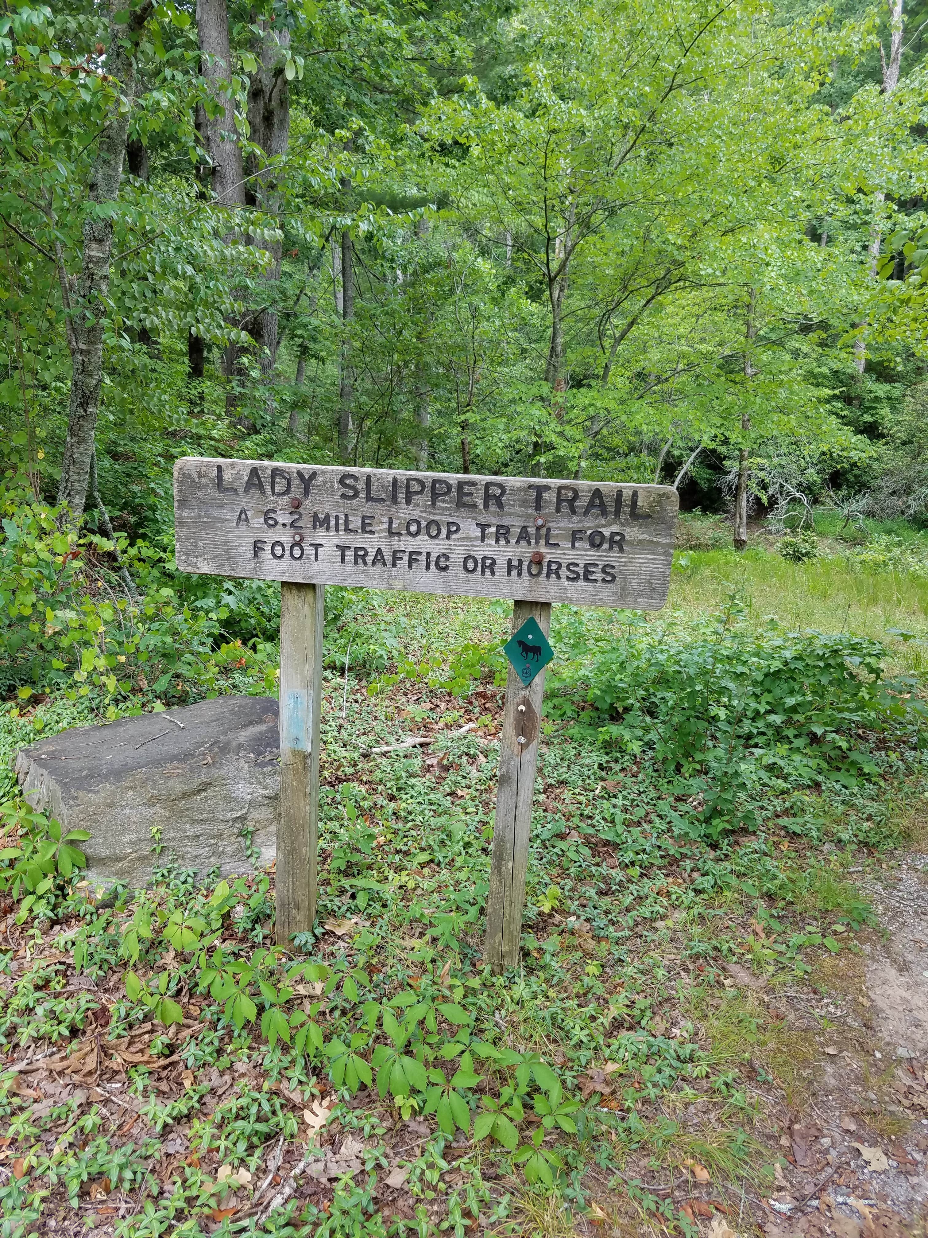 Lake Russell Recreation Area The Dyrt