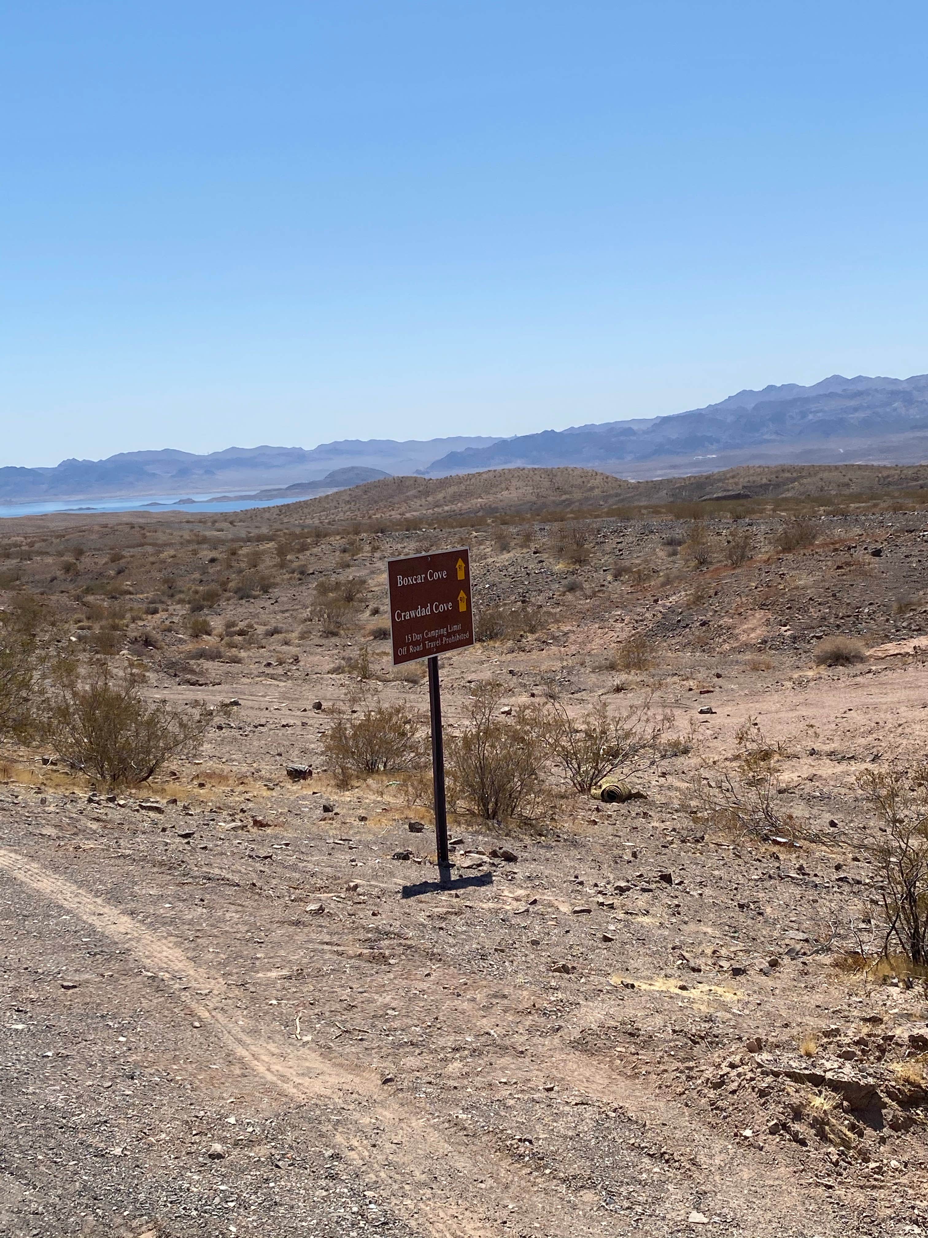 Camper submitted image from Crawdad Cove Dispersed Camping — Lake Mead National Recreation Area - 2