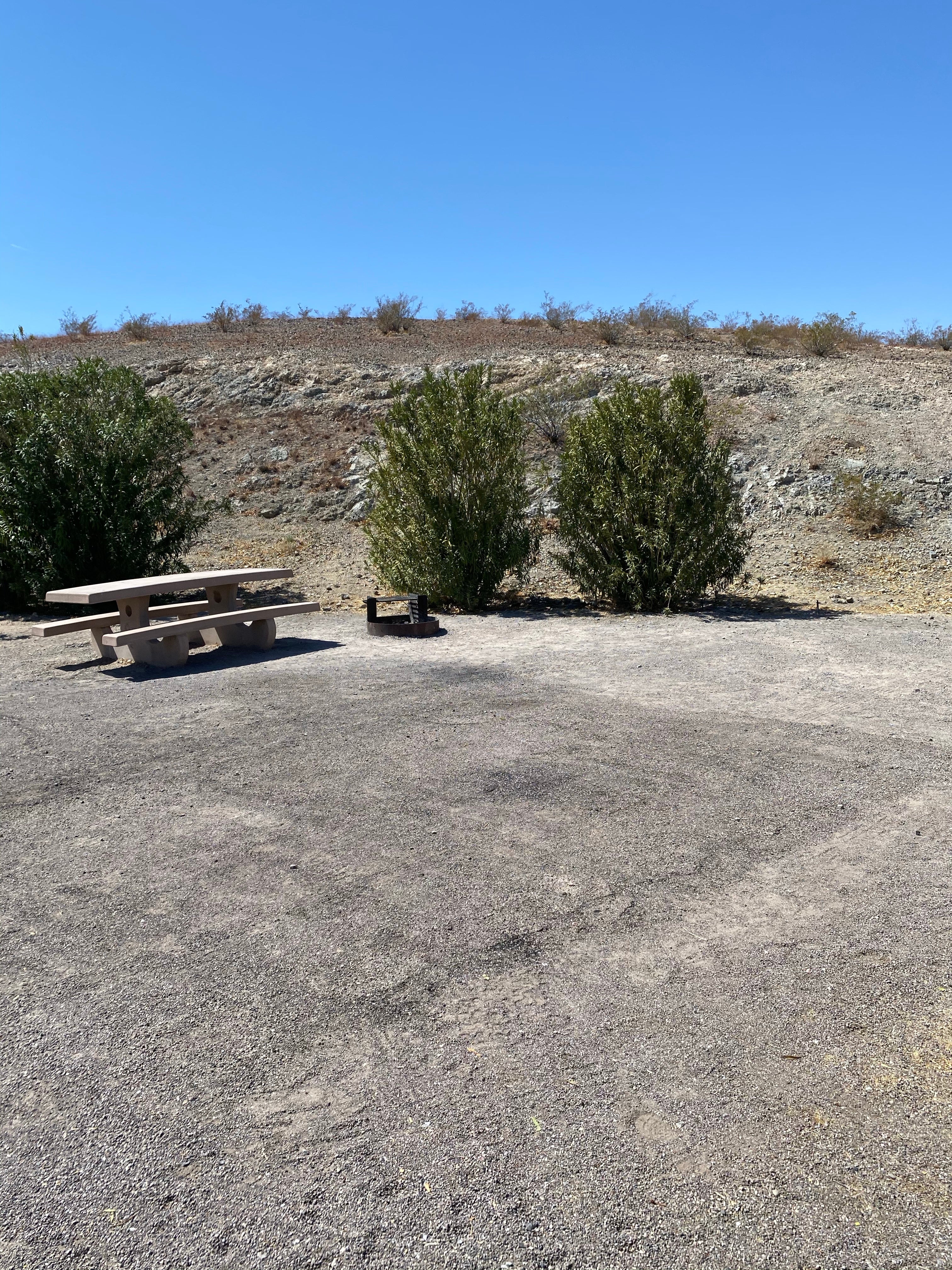 Camper submitted image from Callville Bay RV Park — Lake Mead National Recreation Area - 3