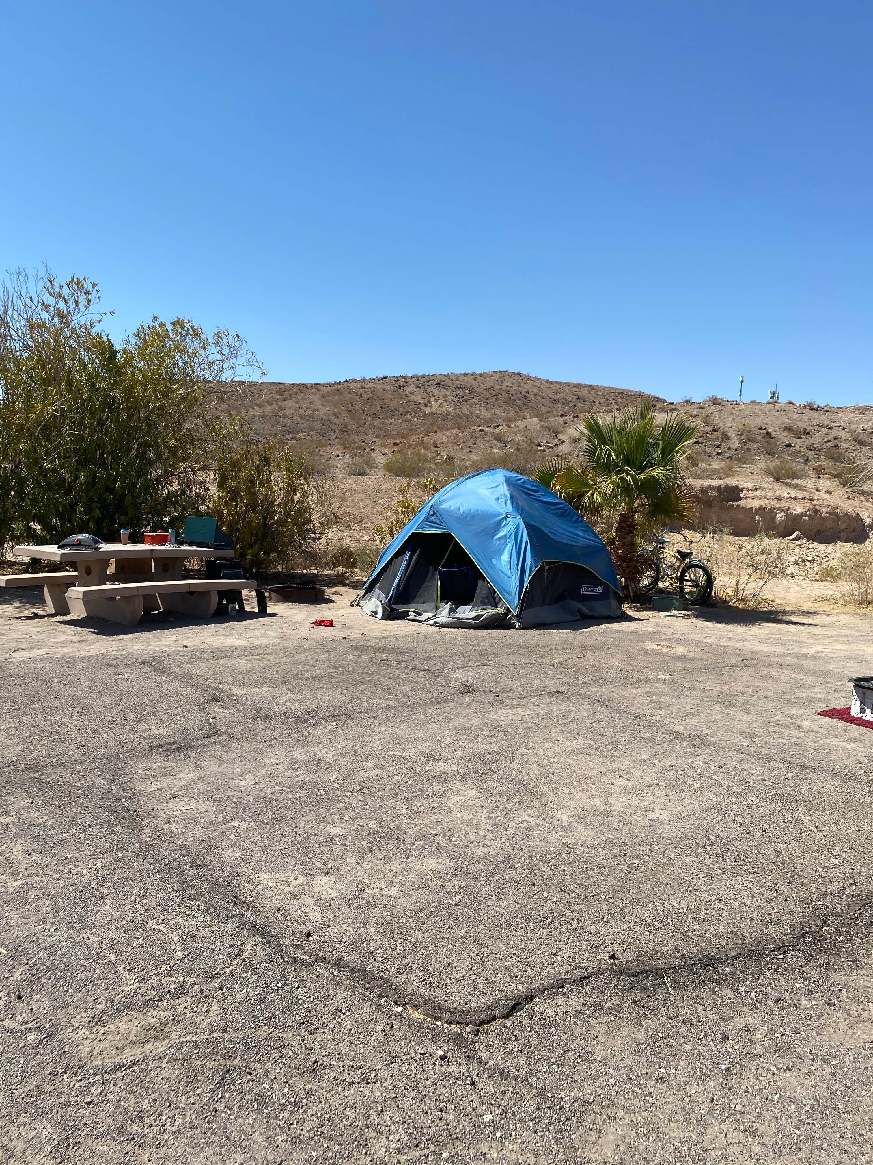 Brittney  C.'s photo at Callville Bay RV Park — Lake Mead National Recreation Area near North Las Vegas, NV