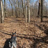 Review photo of Delaware State Park Campground by Andrea F., April 3, 2021