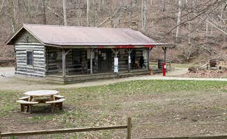 Andrea F.'s photo of glamping accommodations at Tar Hollow State Park Campground near Chillicothe, OH