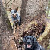 Review photo of Tar Hollow State Park Campground by Andrea F., April 3, 2021