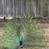 Review photo of Bull Shoals-White River State Park by Derrick C., April 3, 2021