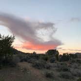 Review photo of Black Rock Campground — Joshua Tree National Park by Emma A., April 3, 2021
