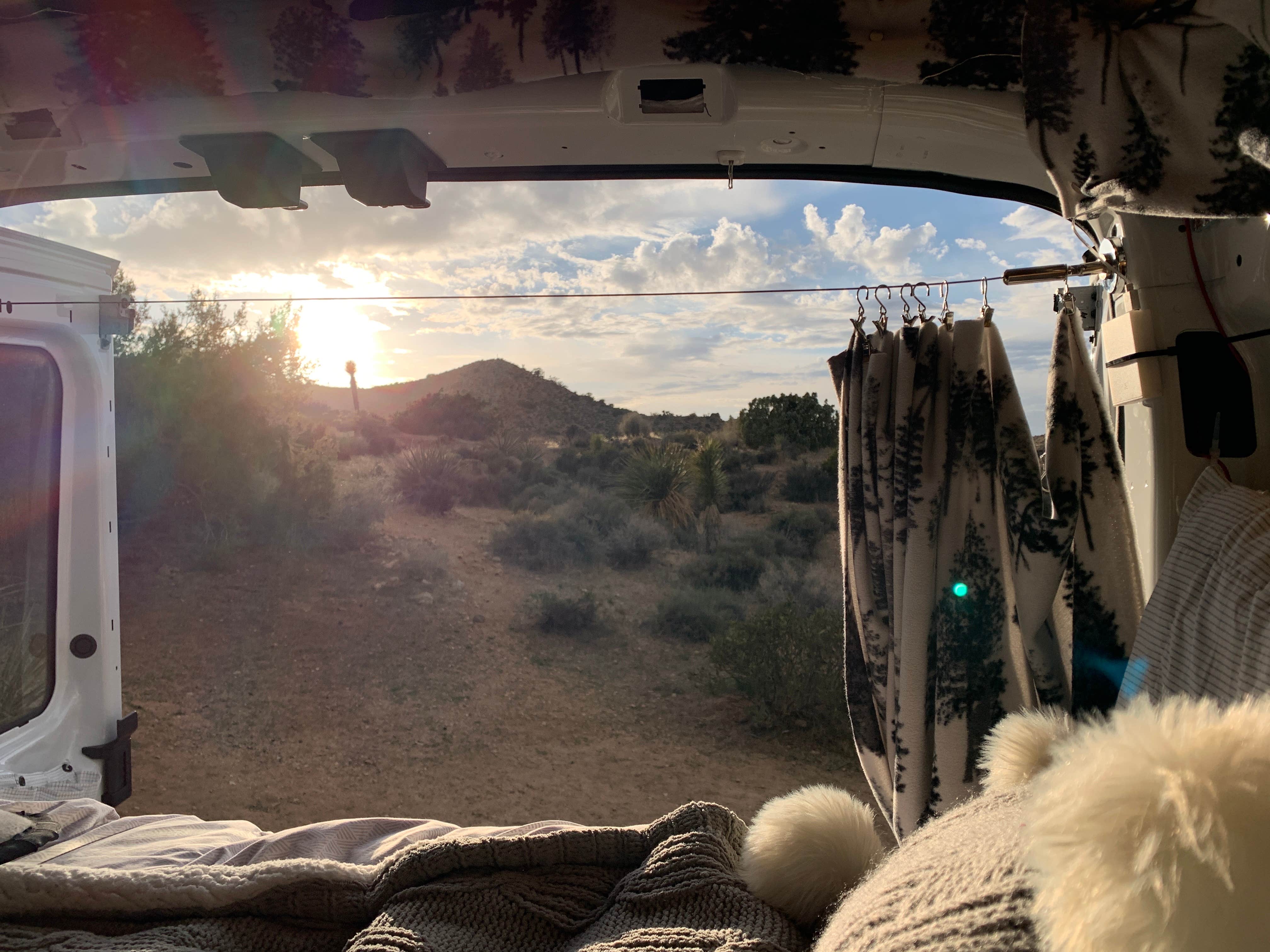 Emma A.'s photo of camping with pets at Black Rock Campground — Joshua Tree National Park near Twentynine Palms, CA