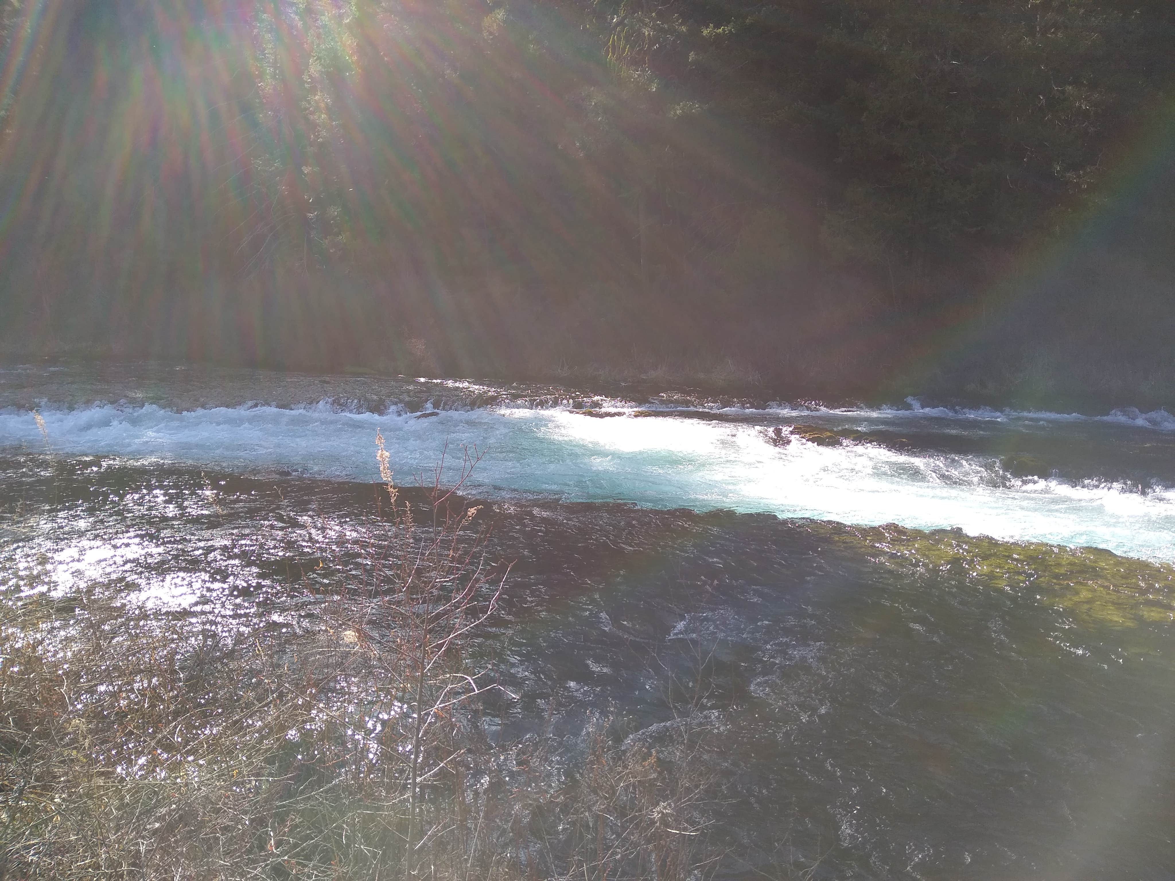 Camper-submitted photo at Allen Springs Campground near Camp Sherman, OR