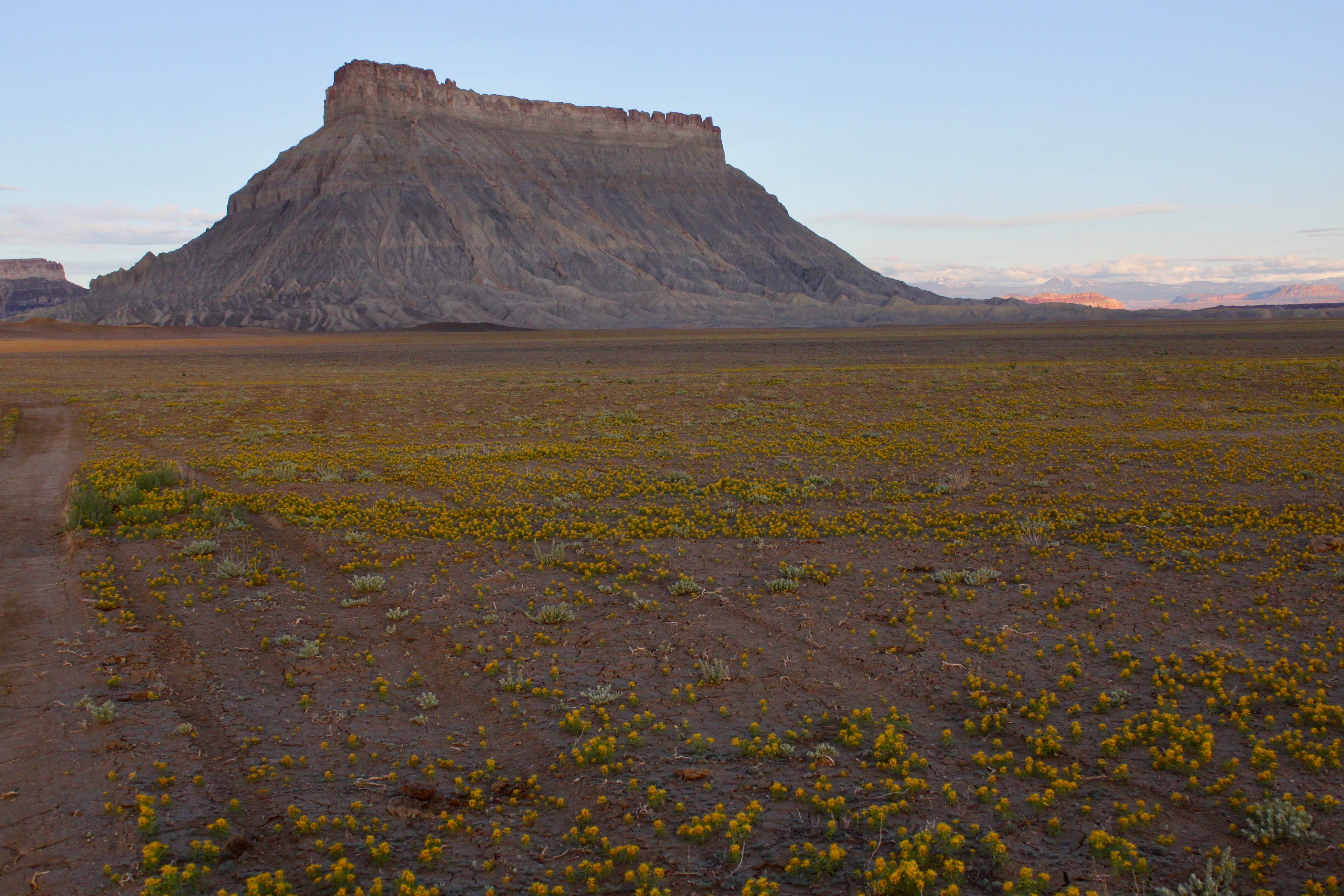 Camper submitted image from Coal Mine Wash - 2