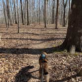 Review photo of Redbud Campground at Bell Smith Springs by Abby M., April 3, 2021