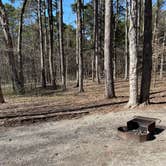 Review photo of Redbud Campground at Bell Smith Springs by Abby M., April 3, 2021