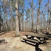 Review photo of Redbud Campground at Bell Smith Springs by Abby M., April 3, 2021