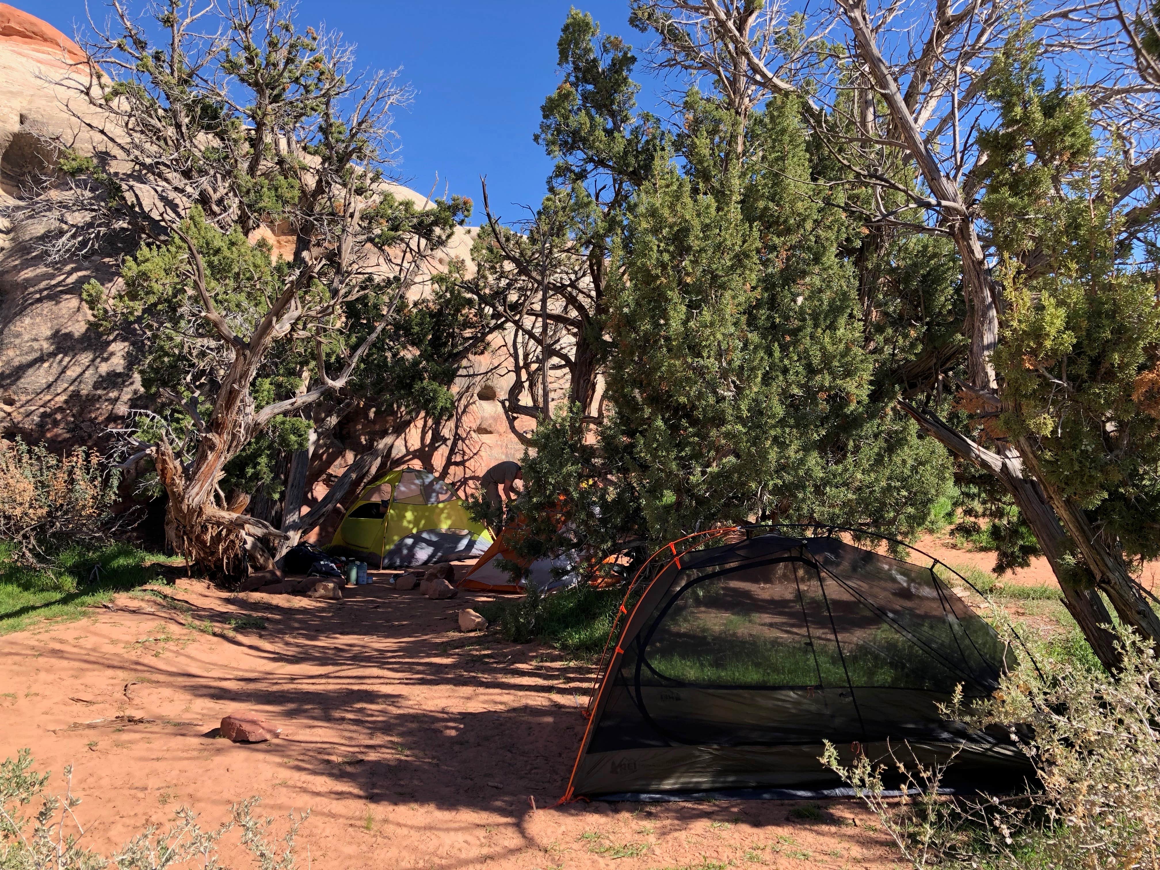 Camper-submitted photo at Chesler Park — Canyonlands National Park near Monticello, UT