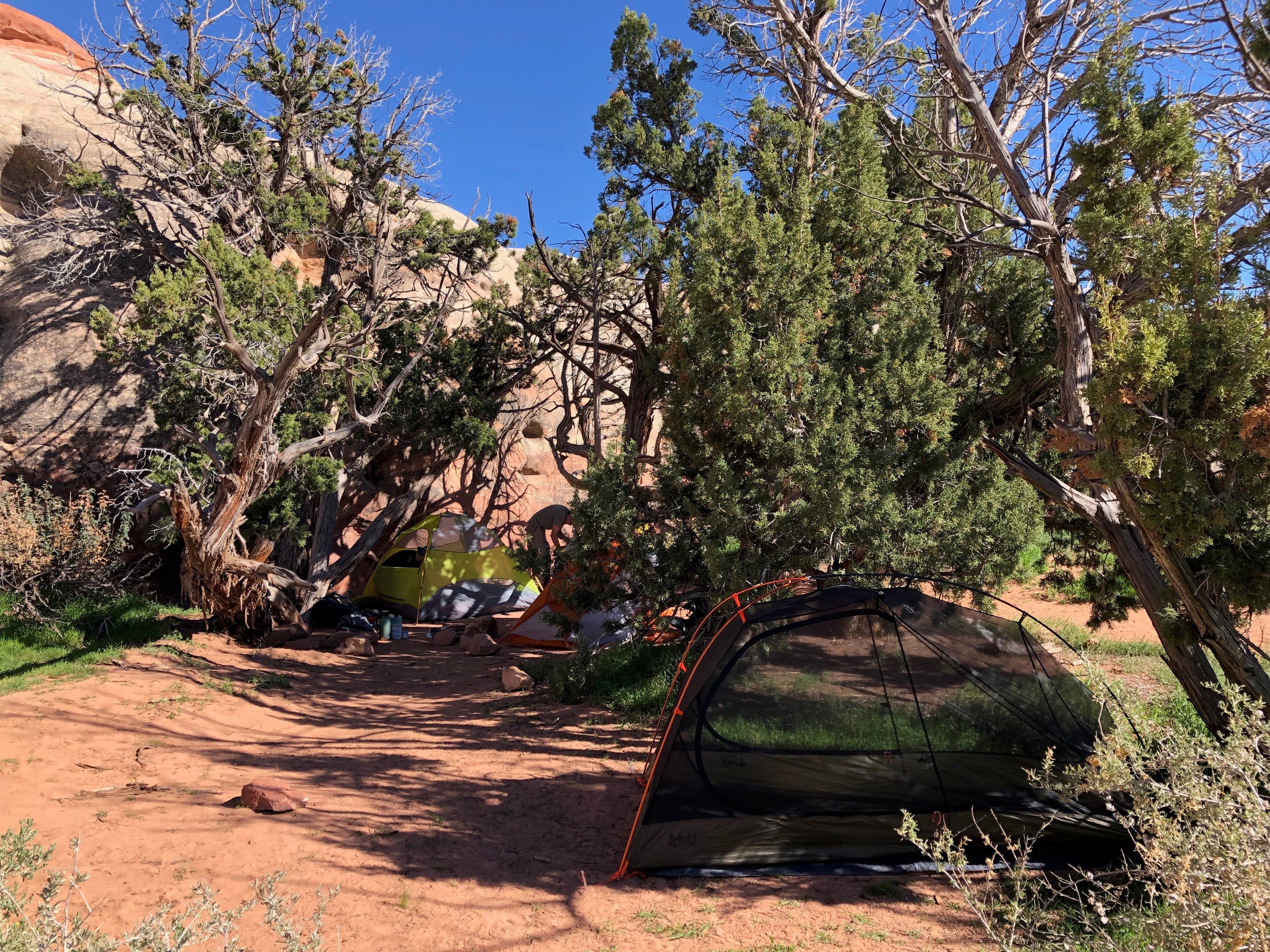 Camper submitted image from Chesler Park — Canyonlands National Park - 4