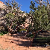 Review photo of Chesler Park — Canyonlands National Park by Hannah H., April 3, 2021