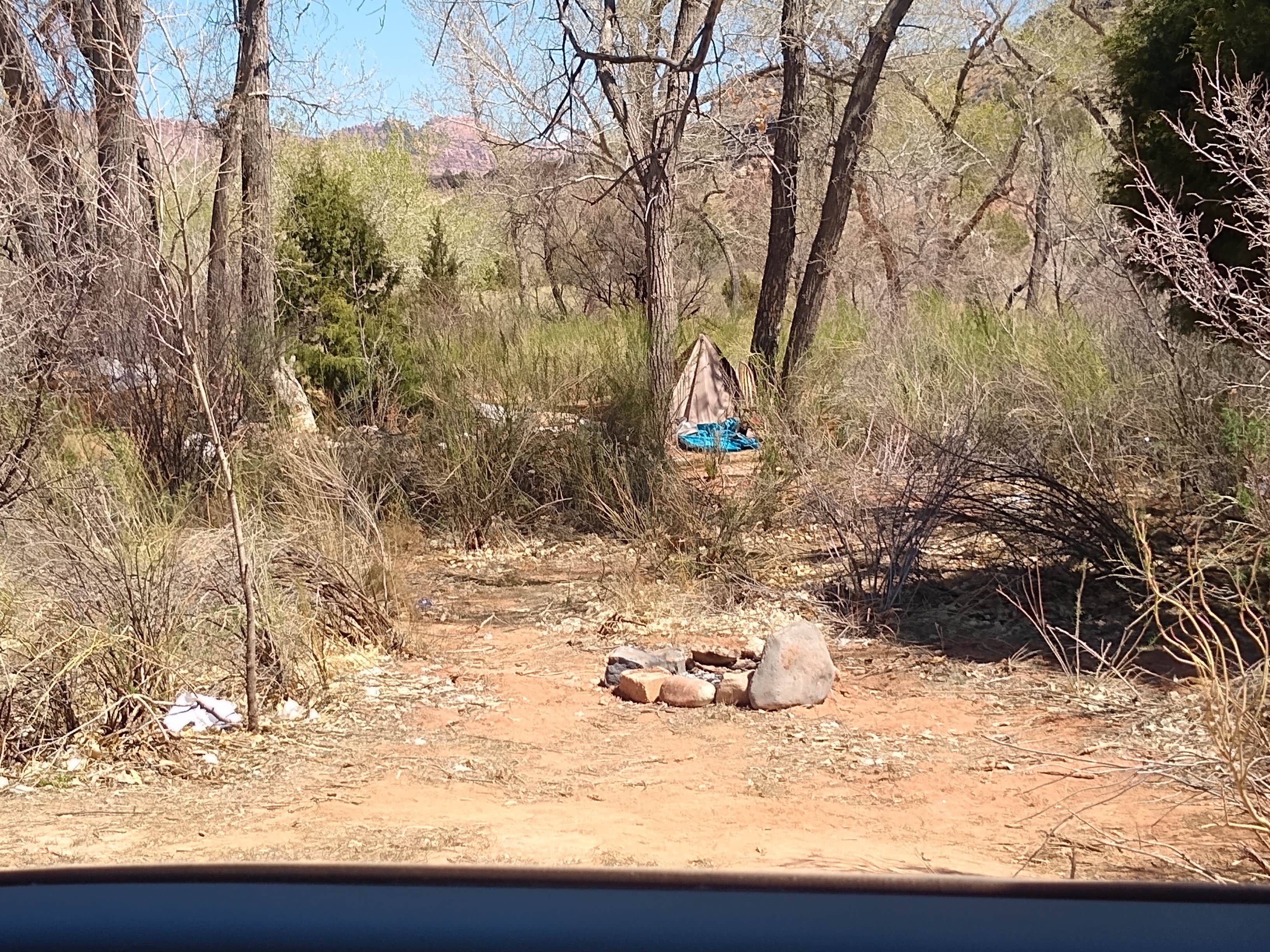 Camper submitted image from Kolob Road BLM Dispersed #1 - 2