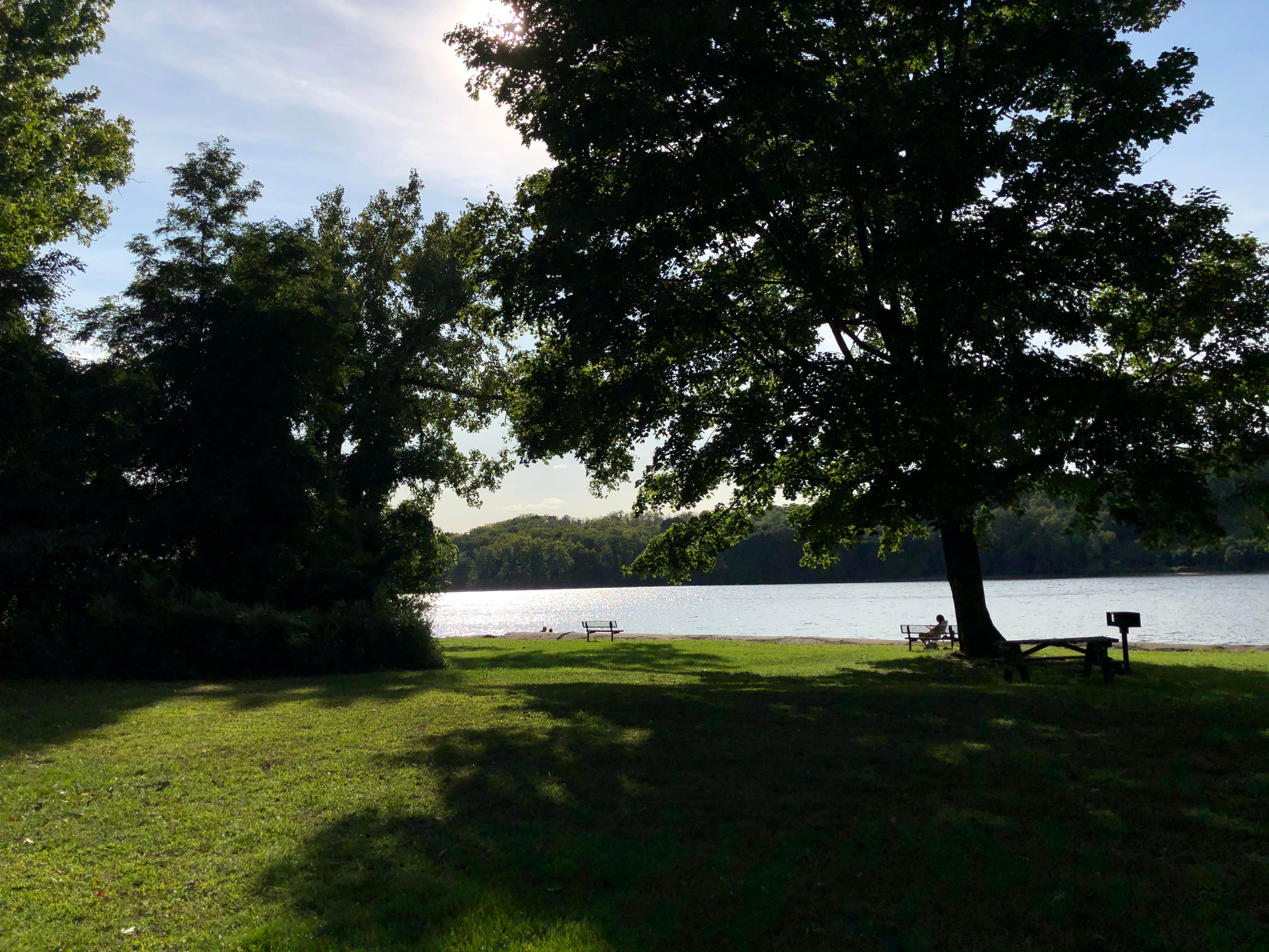 Camper submitted image from Schodack Island State Park Campground - 4