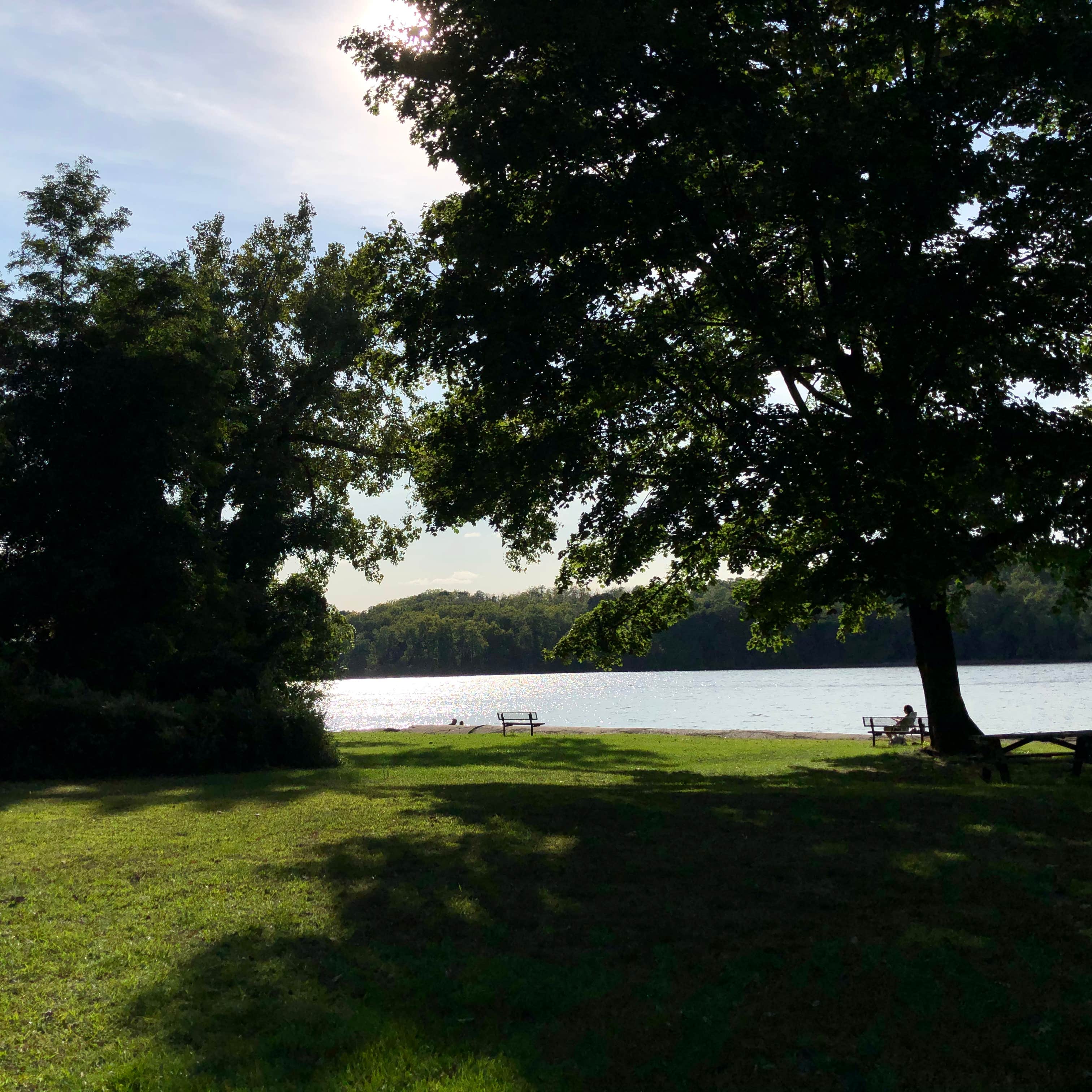 Schodack Island State Park Camping The Dyrt