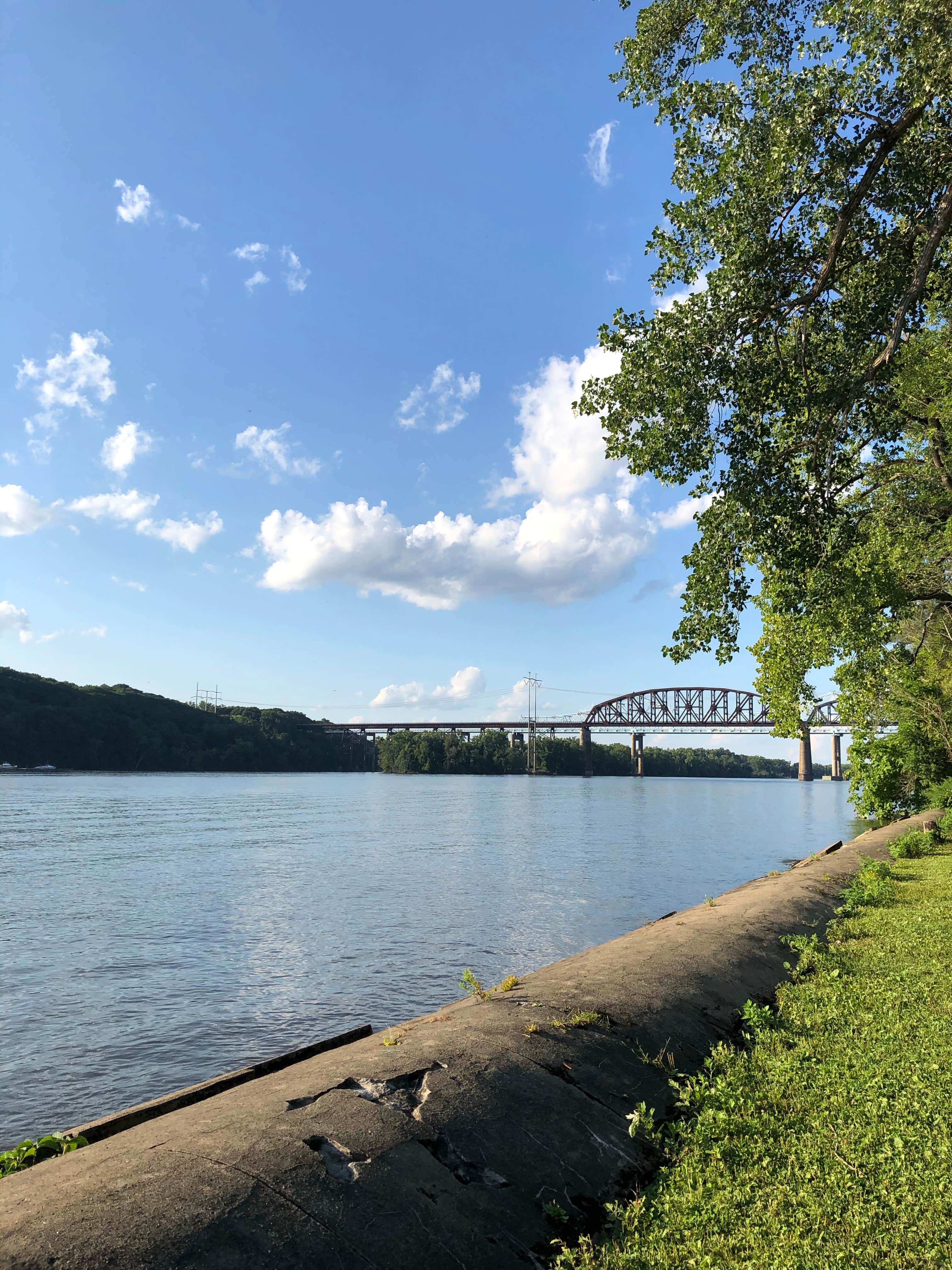 Camper submitted image from Schodack Island State Park Campground - 2