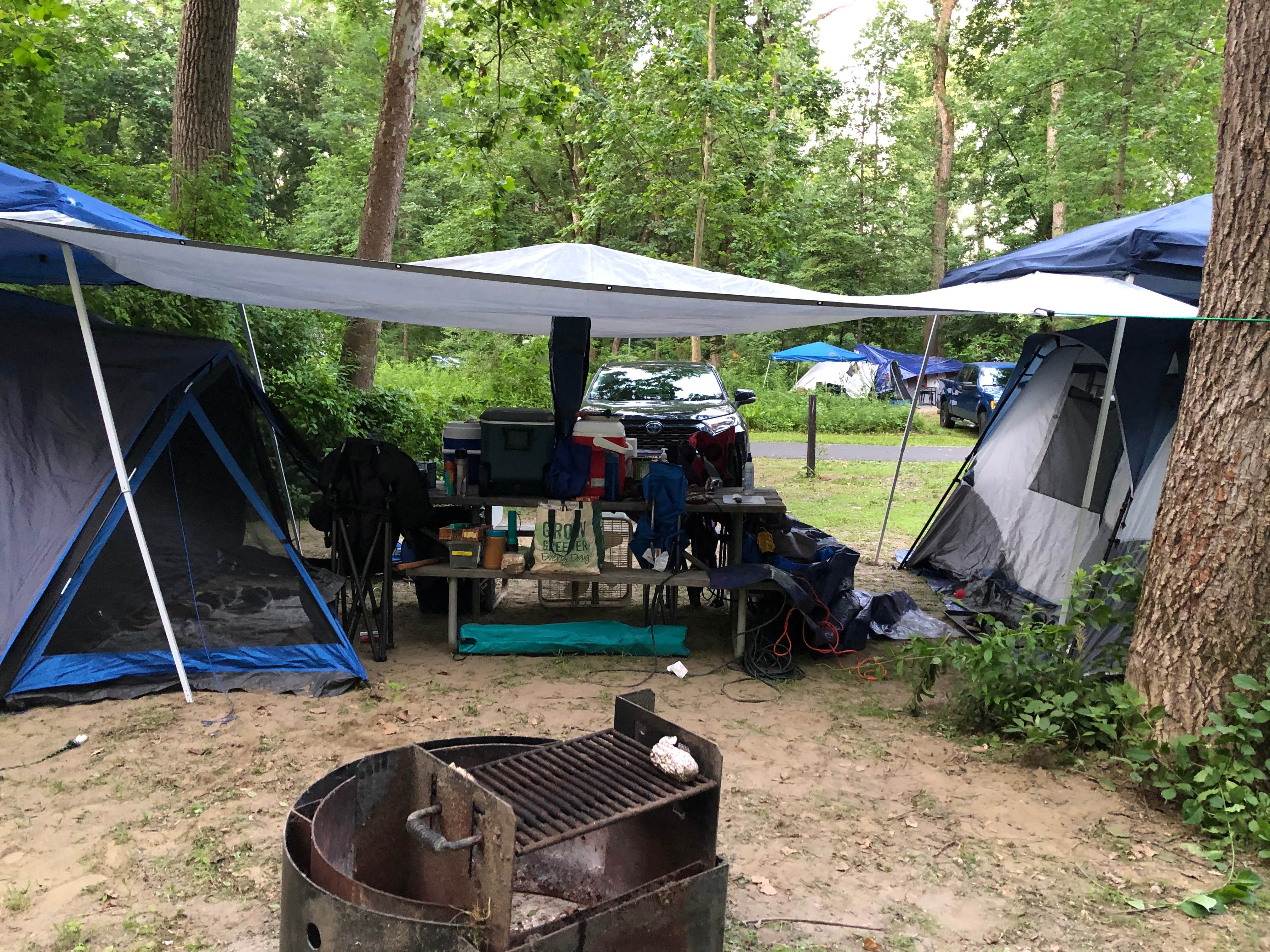 Camper submitted image from Schodack Island State Park Campground - 5