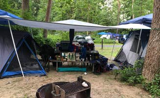 Jill G.'s photo at Schodack Island State Park Campground near Latham, NY