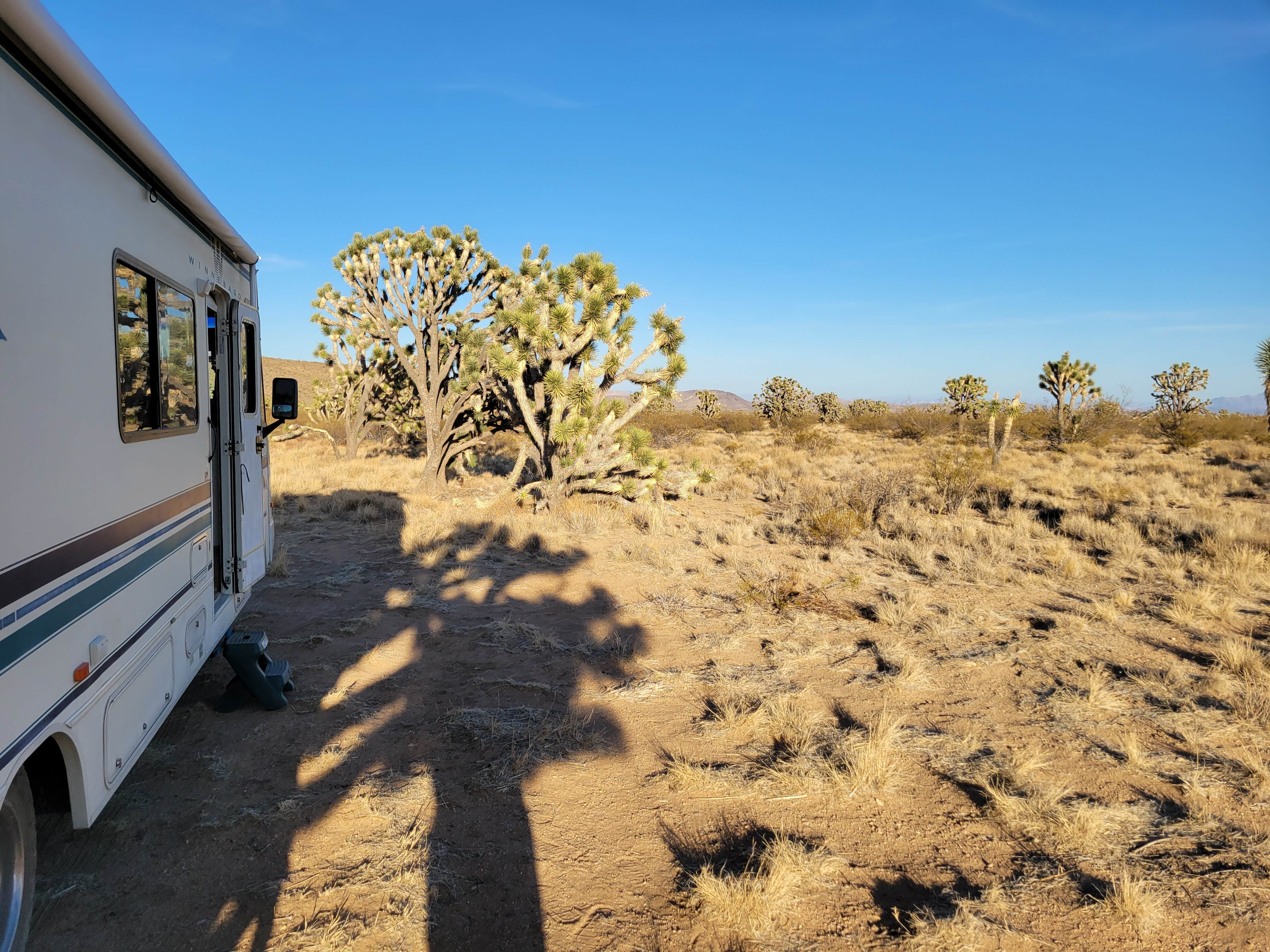 BLM Knob Hill Primitive Camping Searchlight, NV