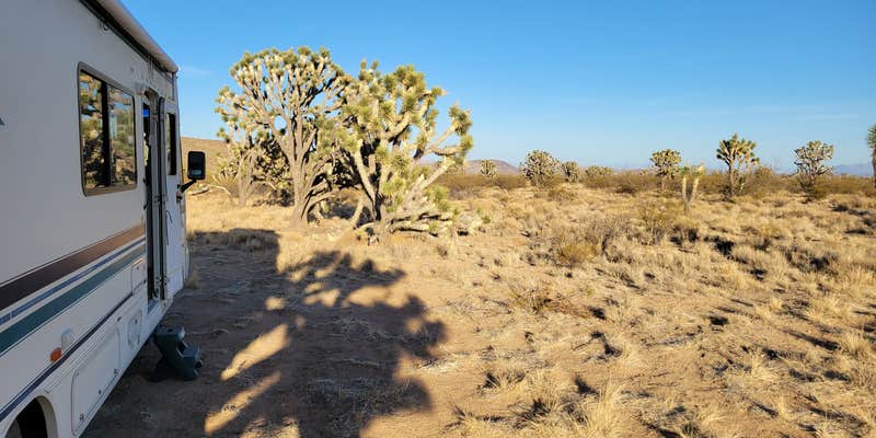 Camper submitted image from BLM Knob Hill Primitive Camping