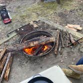 Review photo of Chalk Banks — Lumber River State Park by Cody T., April 4, 2021