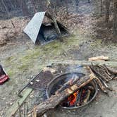 Review photo of Chalk Banks — Lumber River State Park by Cody T., April 4, 2021