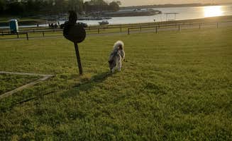 Cassie V.'s photo of camping with pets at Overlook near Somerville Lake