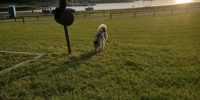 Camper submitted image from Overlook