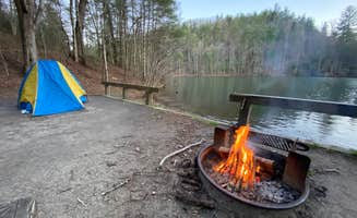 Kaylee D.'s photo of a dispersed camping area at Long Hungry Road Dispersed Campsites near Tallassee, TN