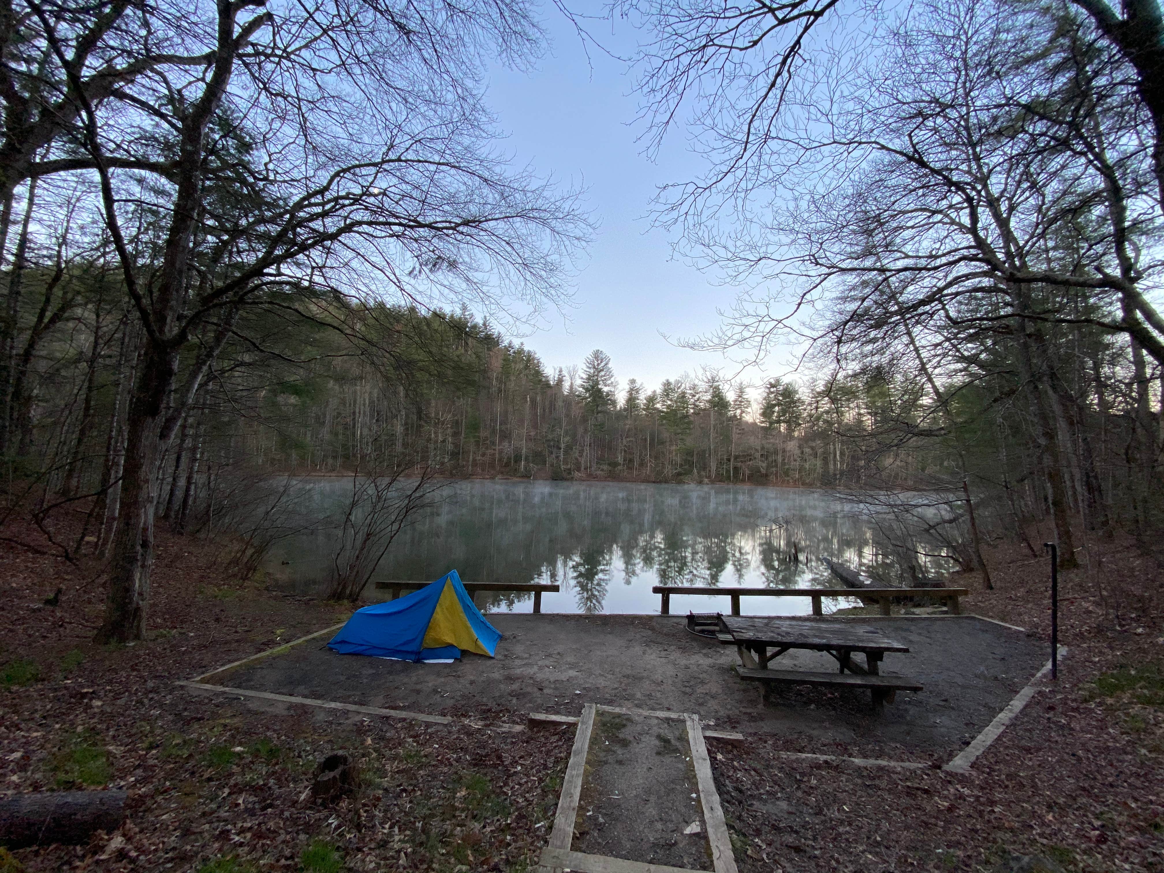 Camper submitted image from Long Hungry Road Dispersed Campsites - 3