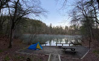 Kaylee D.'s photo of a dispersed camping area at Long Hungry Road Dispersed Campsites near Tallassee, TN