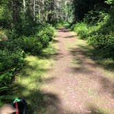 Review photo of Fort Flagler Historical State Park Campground by Tom K., May 31, 2018