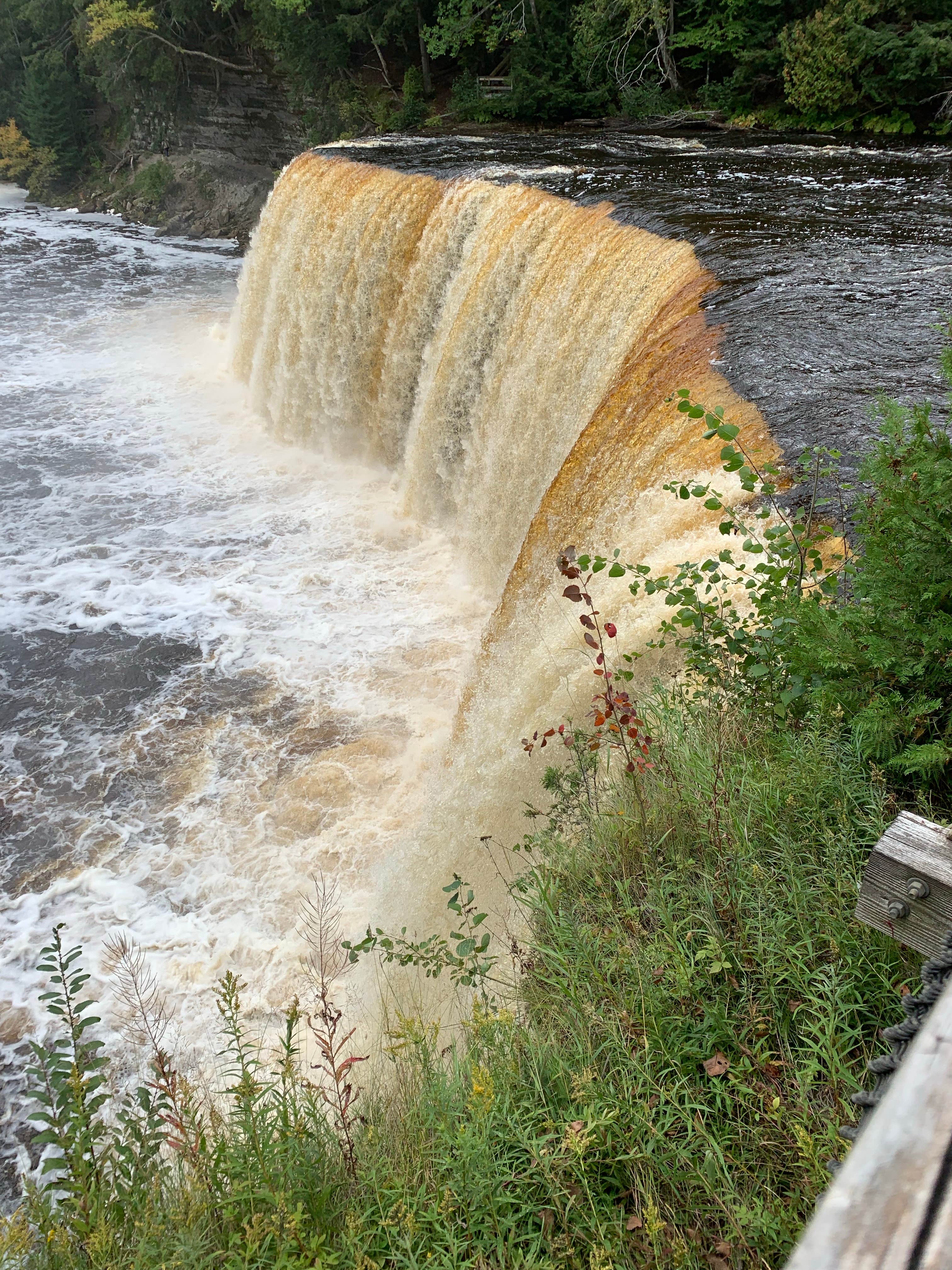 View All