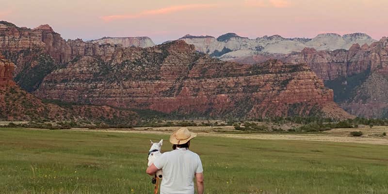 Camper submitted image from Zion Wright Family Ranch