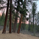 Review photo of Williamson River Campground by Emma A., April 4, 2021