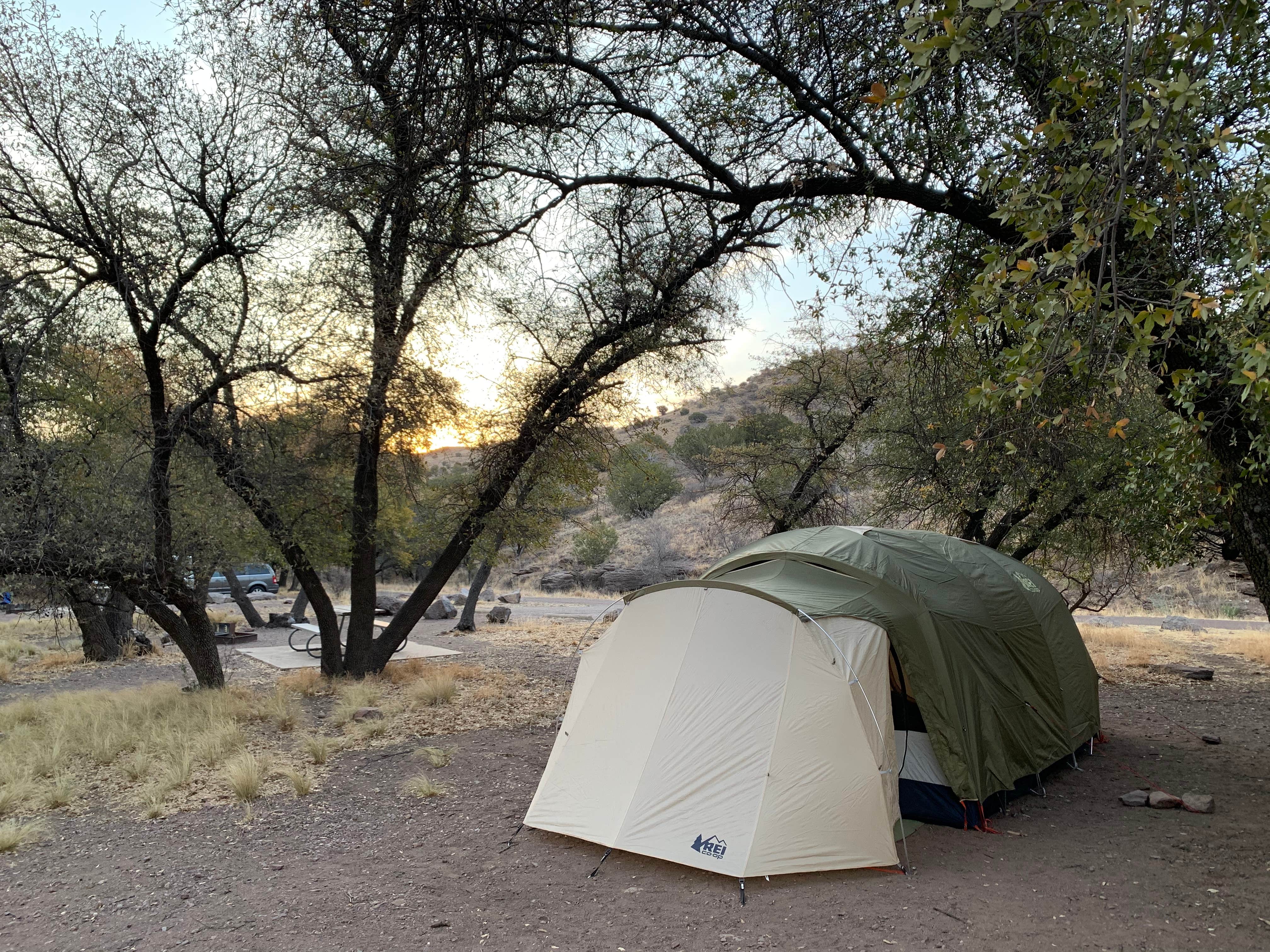 J. Tom S.'s photo of tent camping at Davis Mountains State Park Campground near Marfa, TX