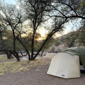 Review photo of Davis Mountains State Park Campground by J. Tom S., April 4, 2021