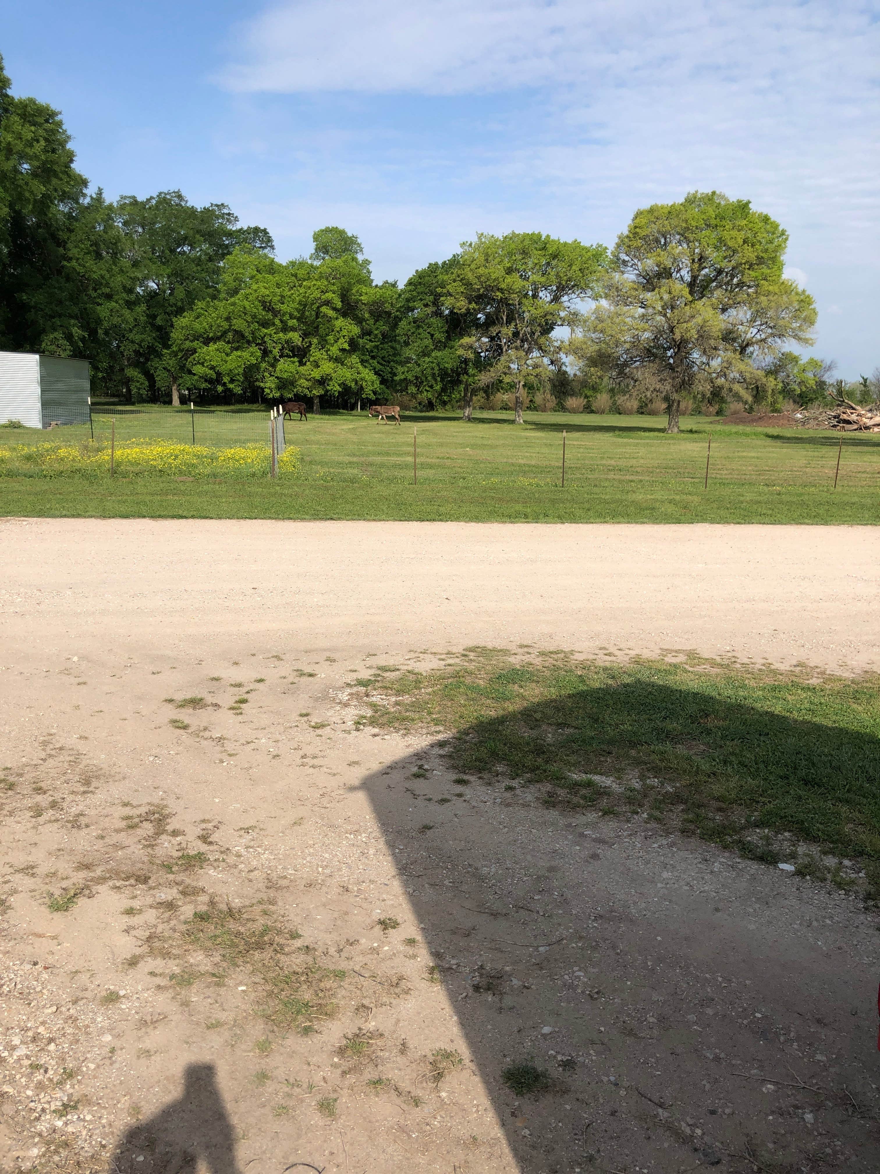 Camping near Stephen F. Austin State Park Campground: Shiloh RV Park, Richmond, Texas